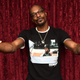 Illustration for article titled Hey Snoop Dogg, is a hot dogg a sandwich?